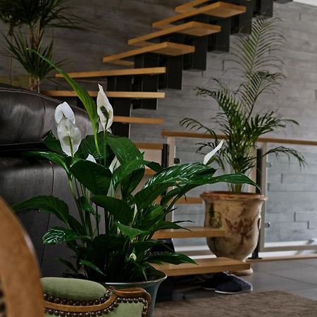 Superbe Appartement Au Coeur Du Jura Champagnole Exterior foto